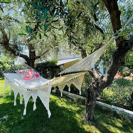 Il Mare In Collina *